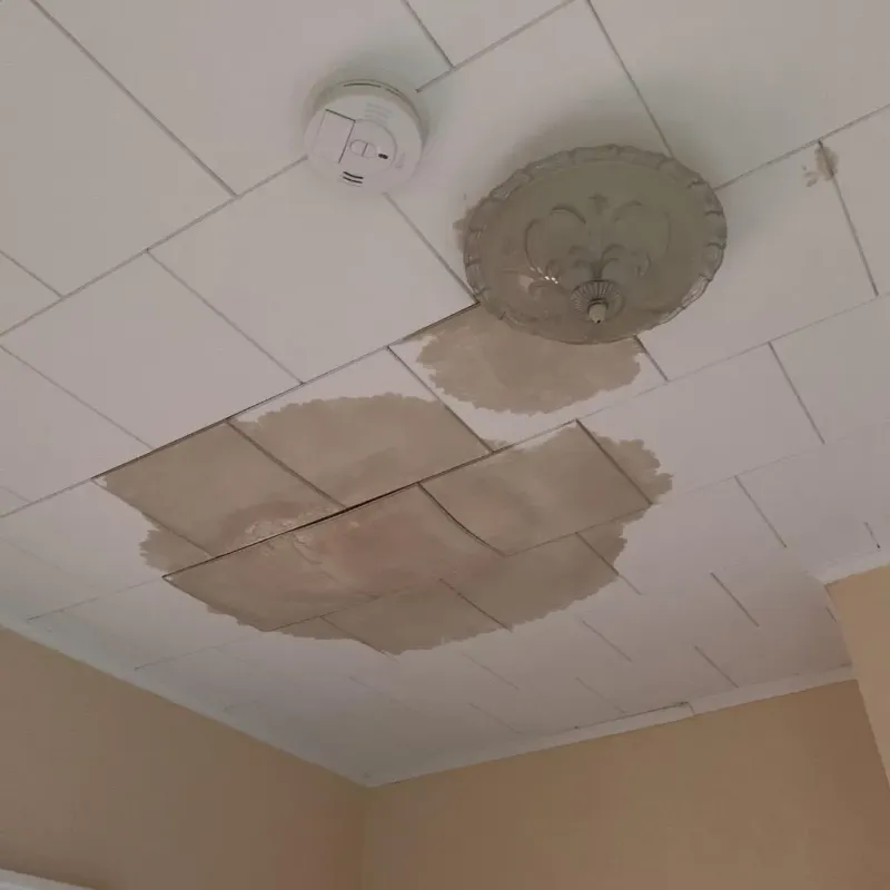 Ceiling Water Damage Repair in Konawa, OK