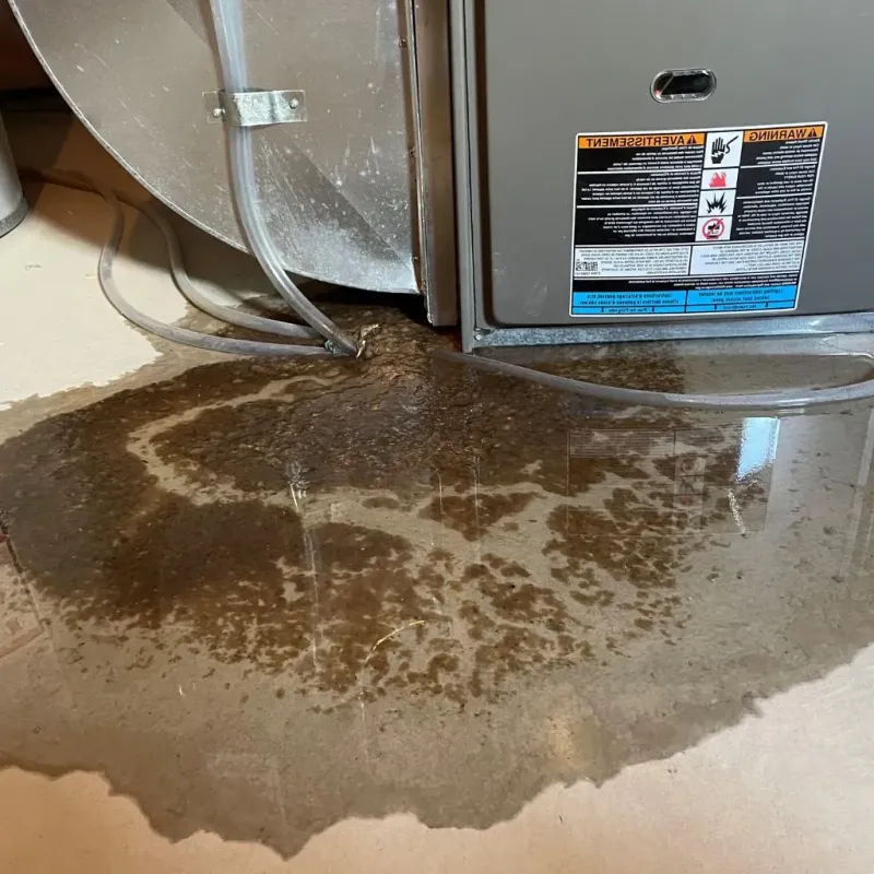 Pipe Burst and Leak Restoration in Konawa, OK